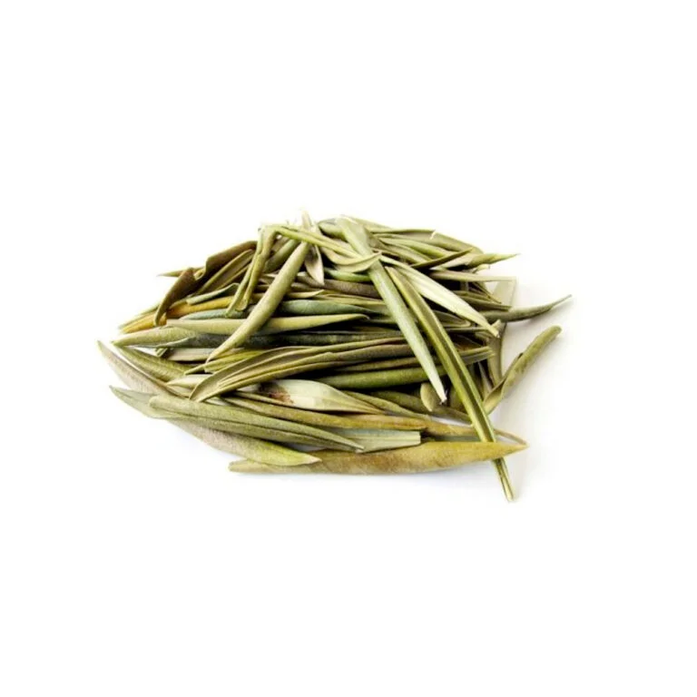 Zeytin Yaprağı (Olive Leaf)